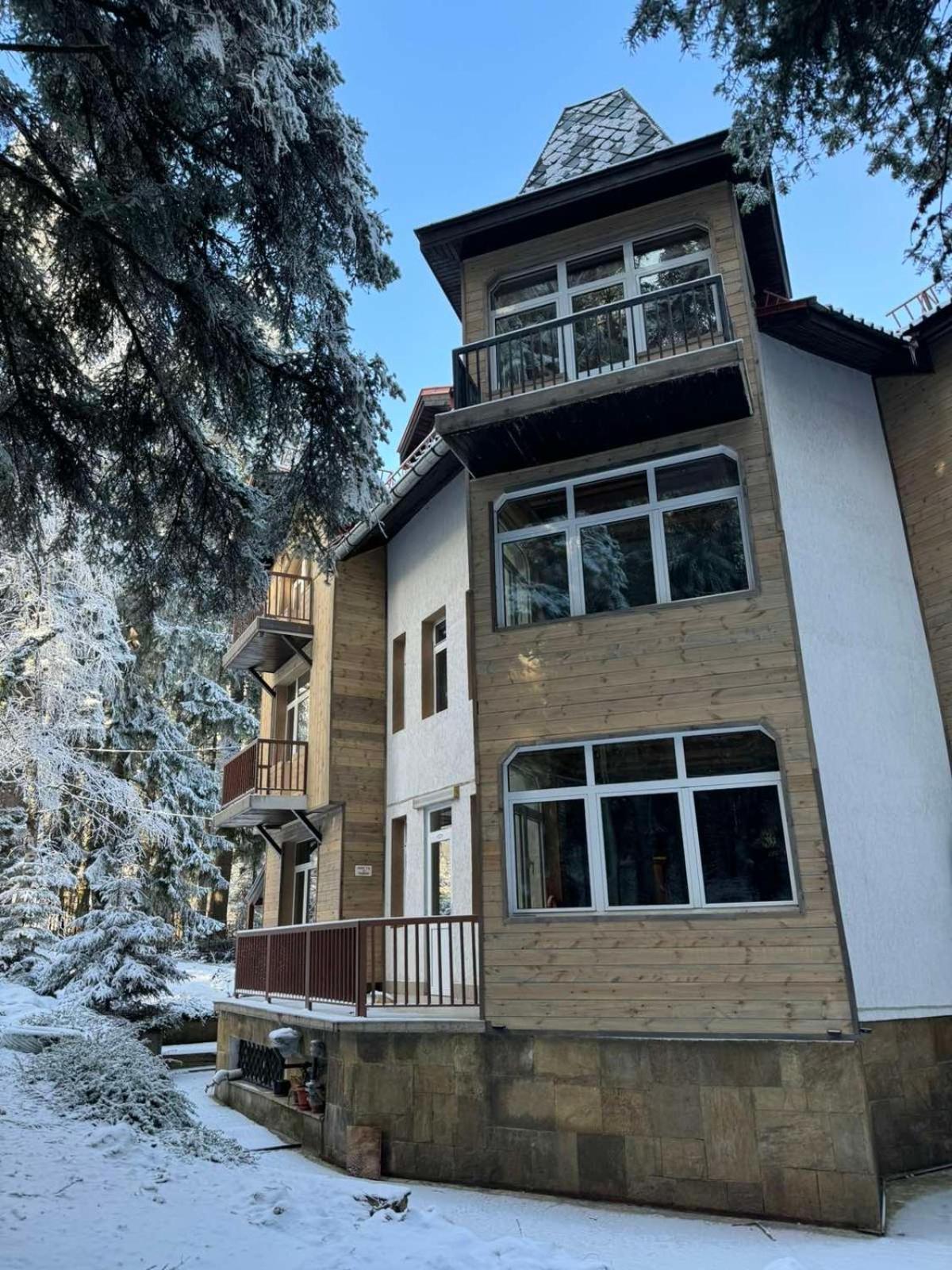The Forest Villa 보로베츠 외부 사진