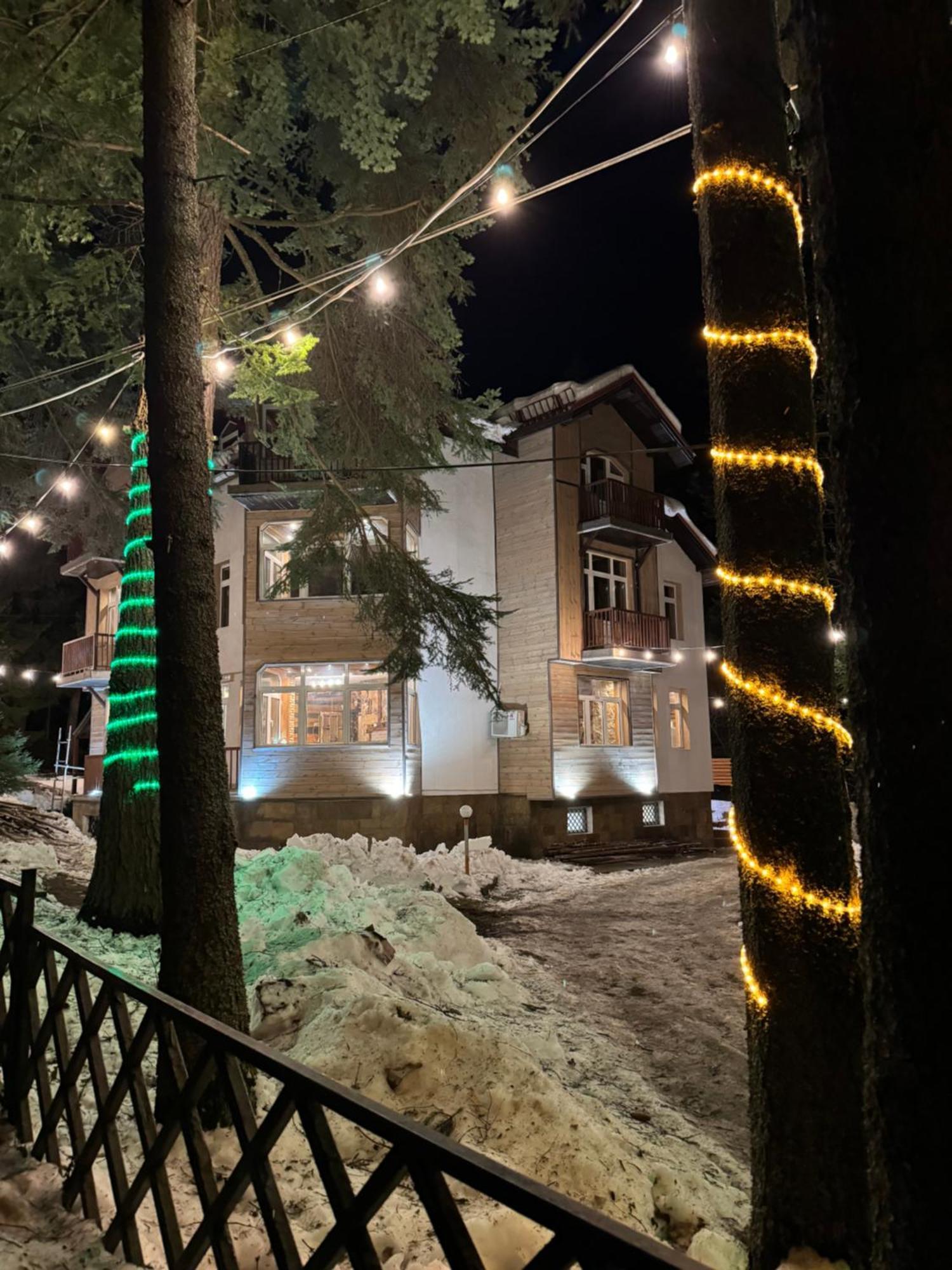 The Forest Villa 보로베츠 외부 사진