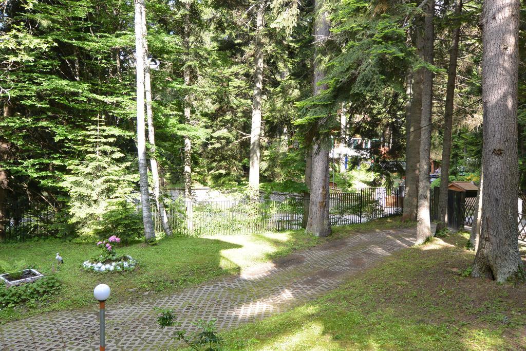 The Forest Villa 보로베츠 외부 사진